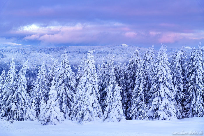 Winterlandschaft im Harz