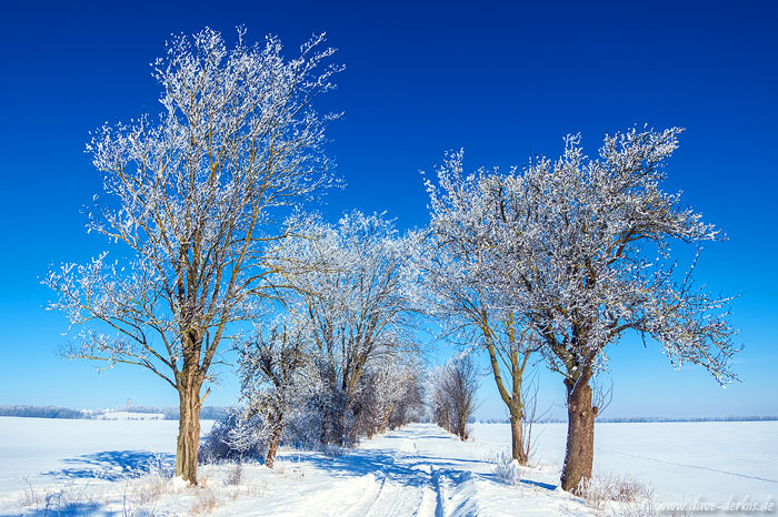 Schnee fotografieren - Winterlandschaft