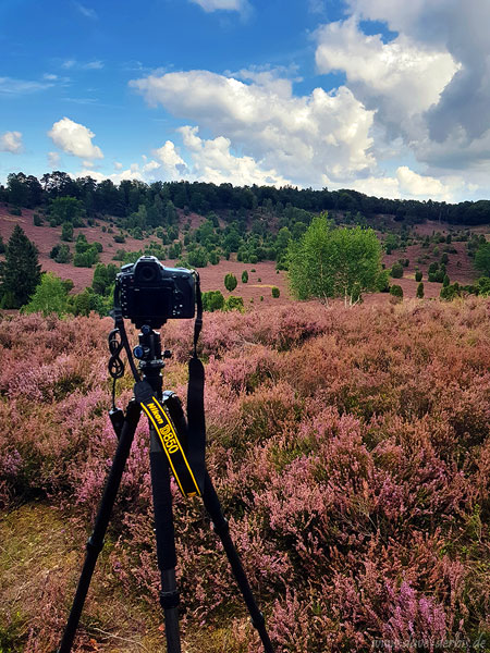 Tipps für das Fotografieren in der Lüneburger Heide